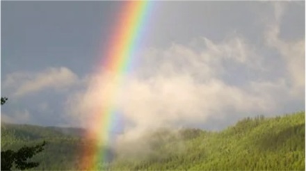 Foto eines Regenbogens in der Landschaft